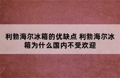 利勃海尔冰箱的优缺点 利勃海尔冰箱为什么国内不受欢迎